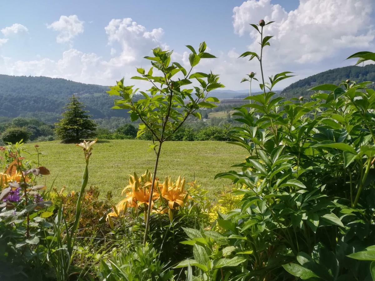 Noclegi Nad Solina Solina  Εξωτερικό φωτογραφία